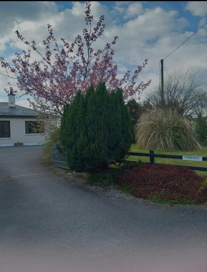 Parkhill House Self Catering Apartment Ballyshannon Bagian luar foto